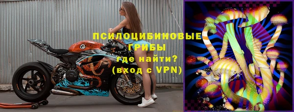 apvp Ессентукская