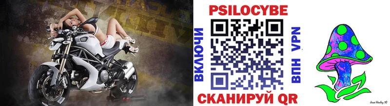 Псилоцибиновые грибы GOLDEN TEACHER  Купить где  Пудож 